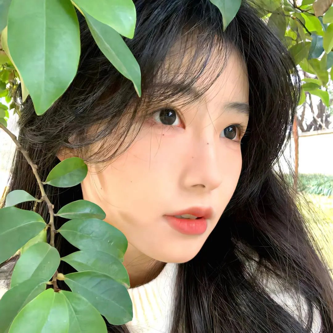 黑色大理花悬案